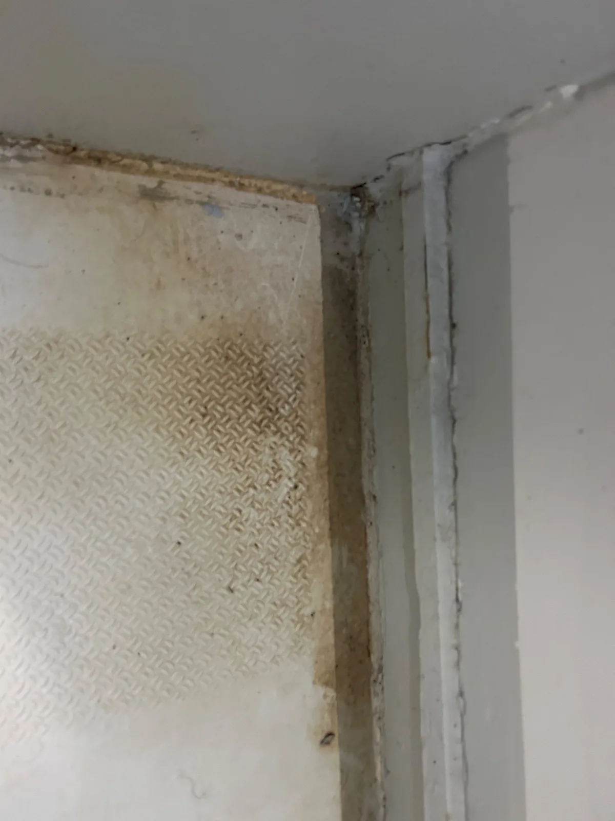 KBD propreté, nettoyeur de bâtiments à Rouen — réalisation 9